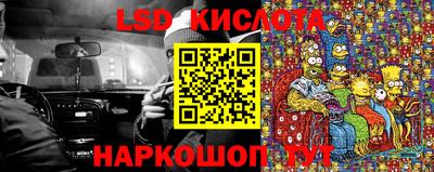 jwh Шебекино