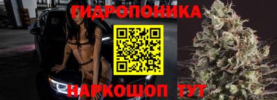 jwh Шебекино