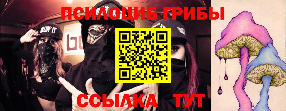 Псилоцибиновые грибы Psilocybe  закладка  Волжский  Вход с VPN  Галлюциногенные грибы Psilocybe 